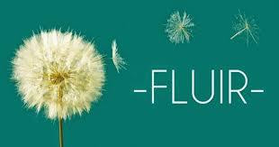 Fluir, Flujo (flow)