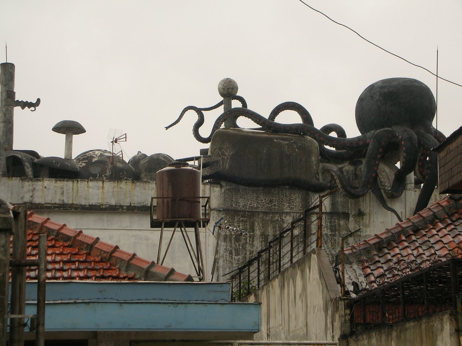 Rumah Gurita di Bandung