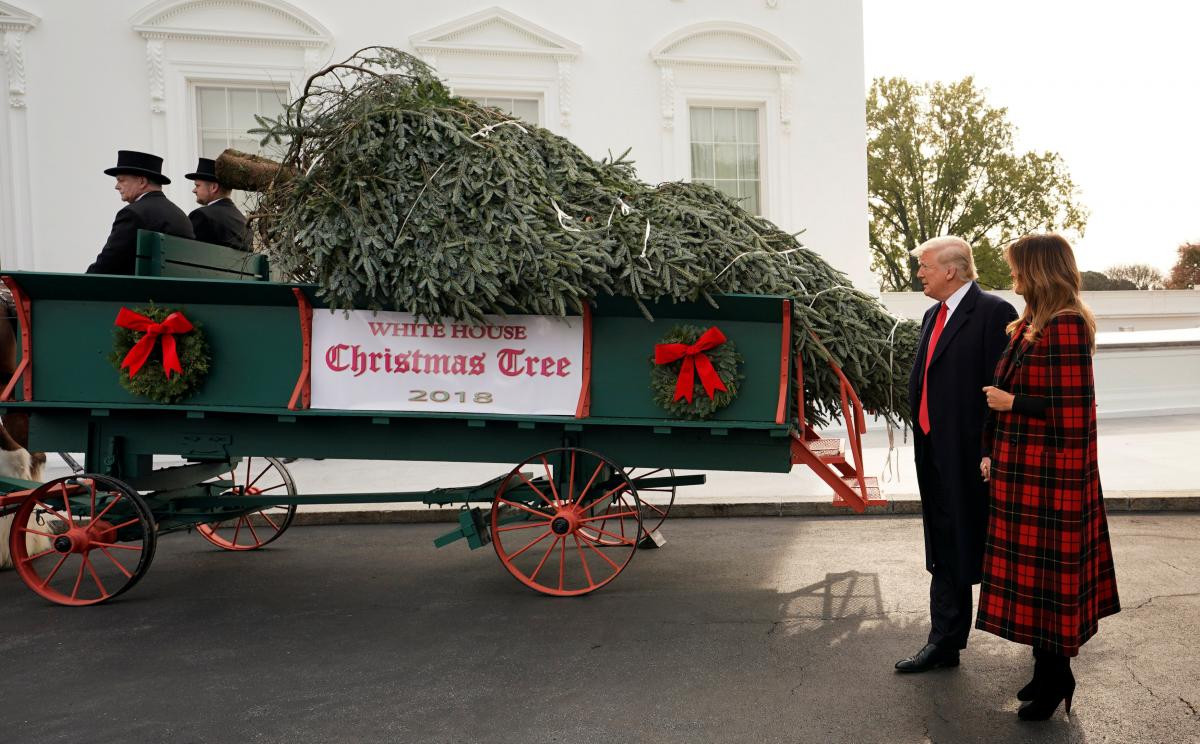 В Белый дом привезли рождественскую ёлку