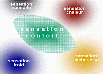 Conditions d'équilibre thermique