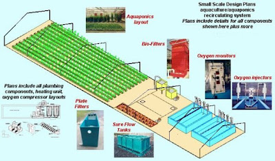 Commercial Aquaponics Systems Plans : Aquaponics Within ...