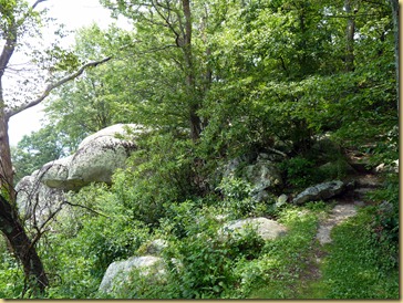 2012-08-02 - Blue Ridge Parkway  - MP 120 - 46 (24)