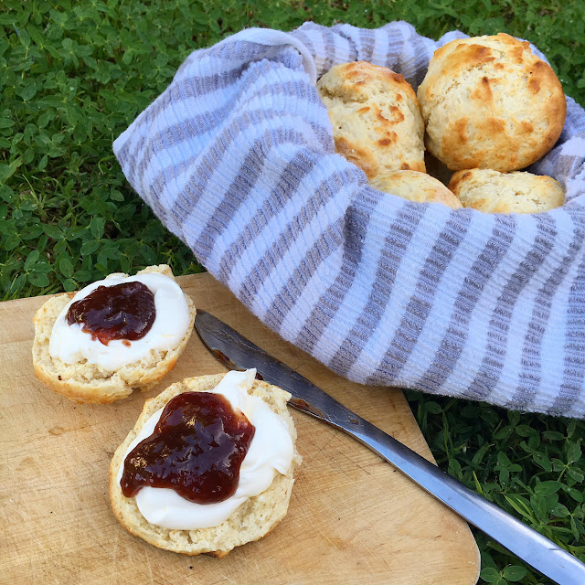 scones >> STARTS WITH CUPCAKES