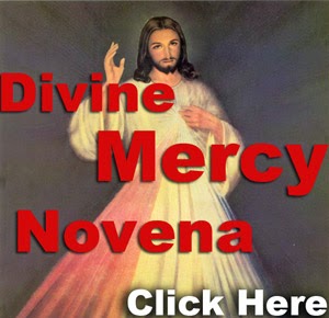 http://www.praymorenovenas.com/divine-mercy-novena/