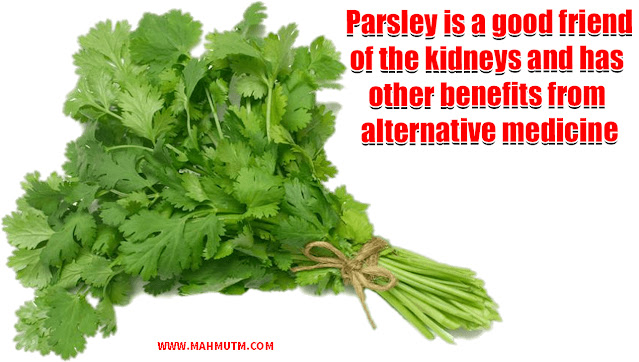 Parsley is a good friend of the kidneys and has other benefits from alternative medicine