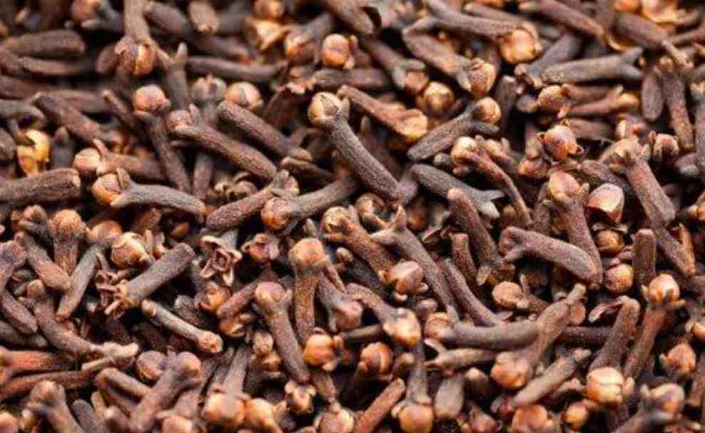 many-cloves-uses-for-human-body