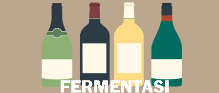 FERMENTASI-ALKOHOL