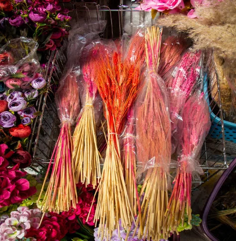 The Enchanting World of Preserved Flowers