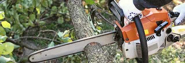 tree-removal-bloomfield-township-mi