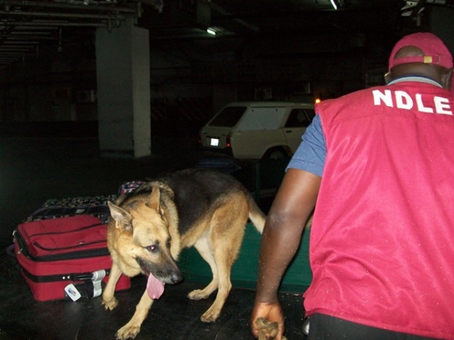 NDLEA arrests South African, 2 Nigerians at Abuja airport for drug trafficking