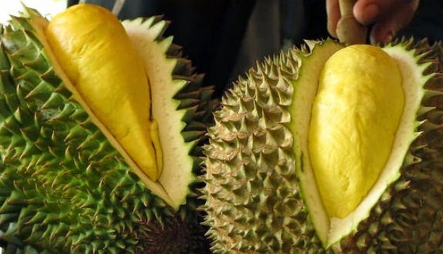 Manfaat serta Efek Samping Buah Durian Untuk Kesehatan Dan Kecantikan