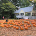 It’s the Great Pumpkin, Norman Rockwell