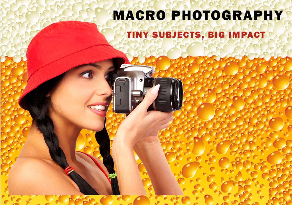Exploring the World of Macro Photography: Tiny Subjects, Big Impact