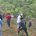 UTEPDA cultiva unas 5,990 plantas de diferentes especies en El Maniel, provincia Independencia.