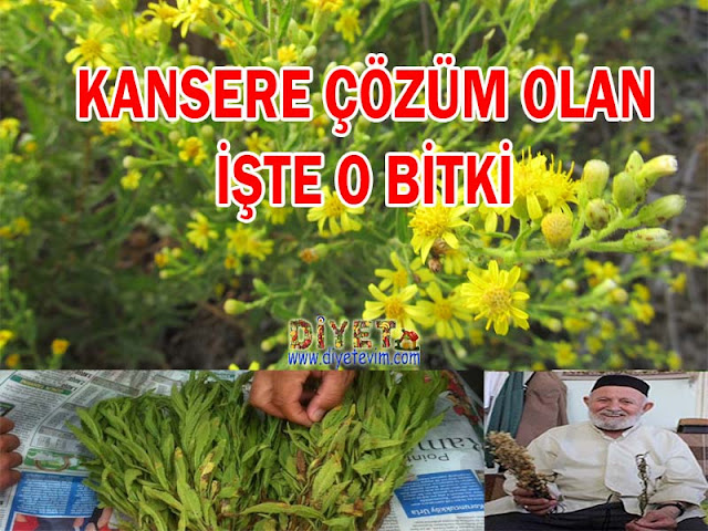 kanser otu kullanımı