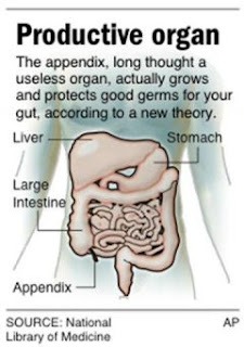 Apêndice (Appendix)