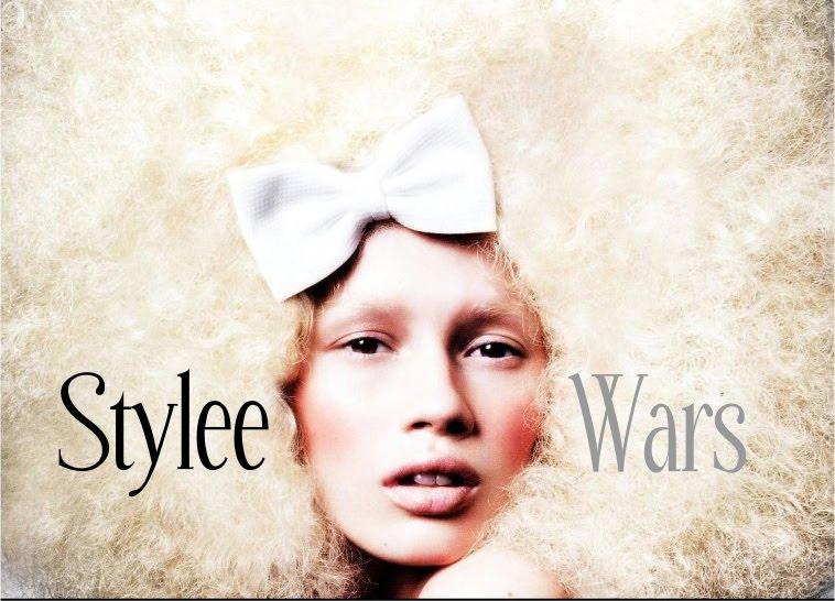 StyleeWars