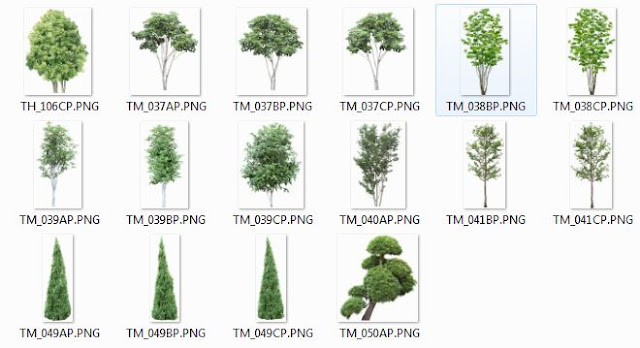 Photoshop Trees Png 05