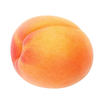 70+ Cartoon images of Apricot fruit