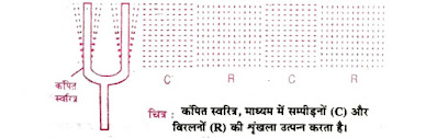 Bharati Bhawan Class 9th Physics Chapter 6 | Sound Short Questions Answer | भारती भवन कक्षा 9वीं भौतिकी अध्याय 6 | ध्वनी दीर्घ उत्तरीय प्रश्न