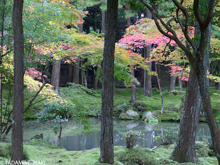 Autumn is coming...part2 at Saihoji Temple in Kyoto