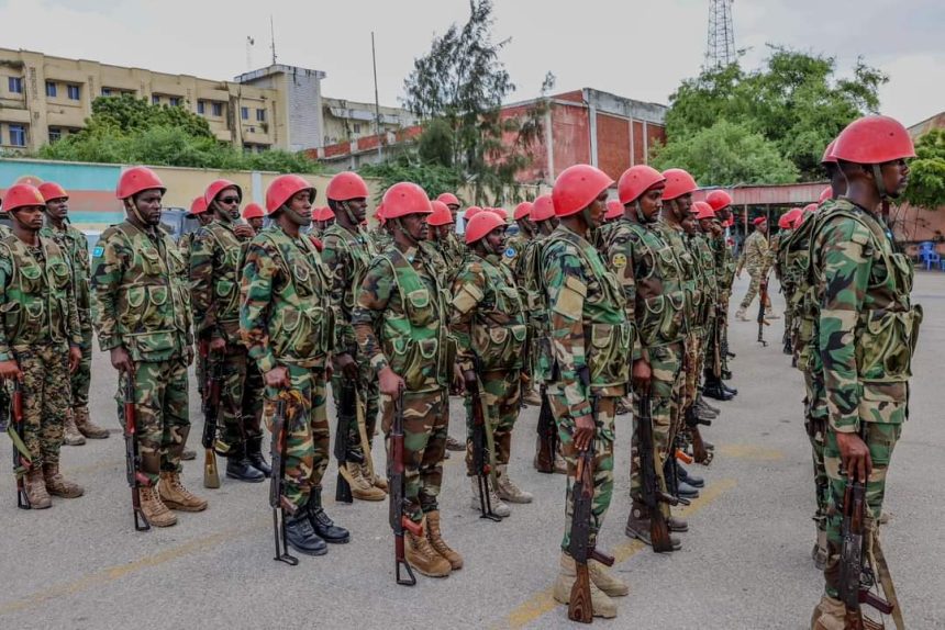 The National Army officially assumes responsibility for the security of the presidential palace