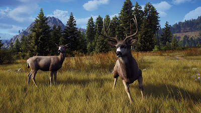 Way Of The Hunter Game Screenshot 16