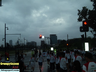 earth run 2011