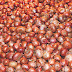Onion crisis created artificially: MPs to JS