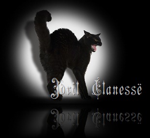 gato enojado