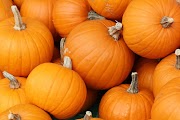 La verdura di stagione: la zucca