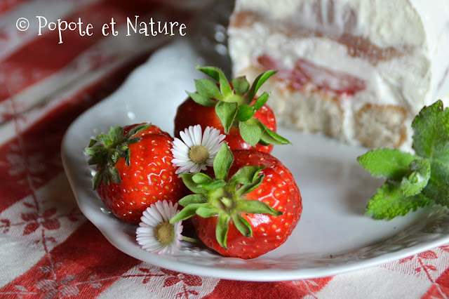 Bûche glacée à la rhubarbe et aux fraises © Popote et Nature