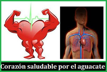 Fortalece el sistema cardiovascular