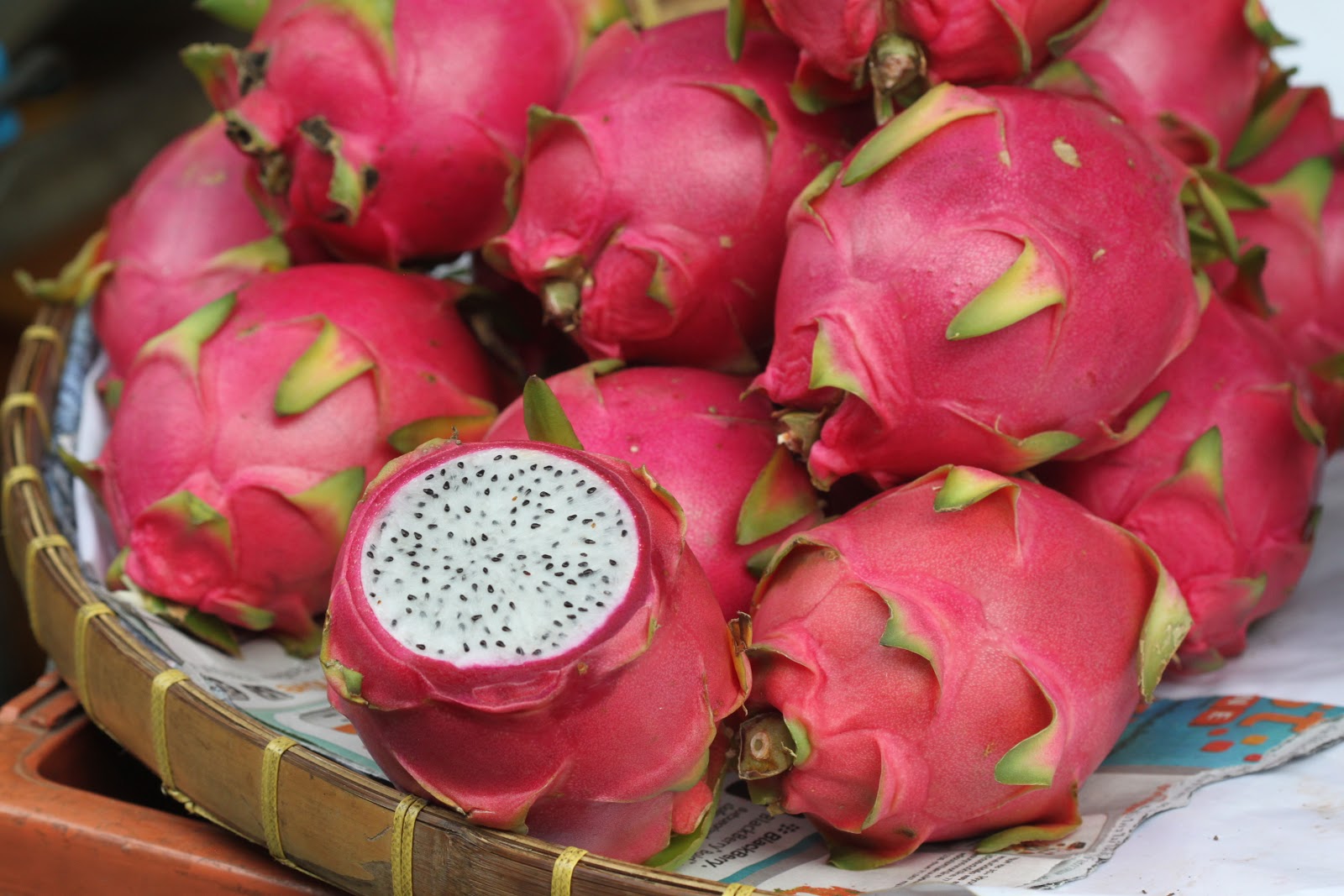 the most beautiful fruit in the world – the dragon fruit. : fruit