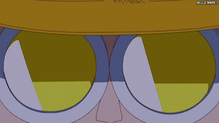 ワンピース アニメ 空島 スカイピア 160話 サトリ | ONE PIECE Episode 160 Skypiea