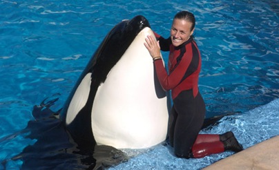 whale-tilikum-seaworld-cp-8