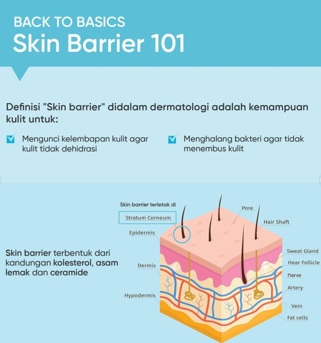Skin Barrier 101