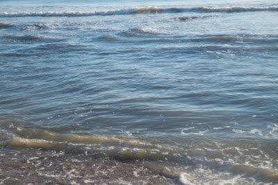 Whopper Sand in the Gulf of Mexico has yielded several surprises and baffled secular geologists.