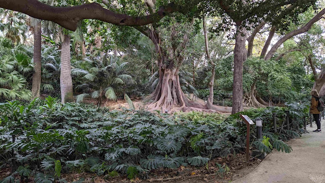 Malaga in November -  Jardin Botanico