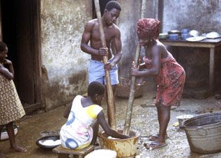 Traditional African family pounding yam in a mortar; with pestle. Boy and girl pounding yam in a mortar with pestle. Sister and brother pounding yam traditionally with mortar and pestle.