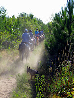 Horseback Trail Riders with Dust & Sun