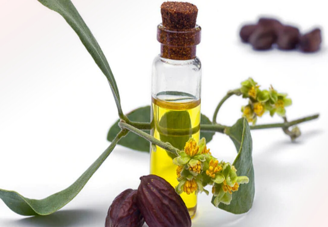 10 best vegetable oils to take care of your beauty