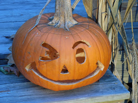 Easy Pumpkin Decomposition Science Experiment