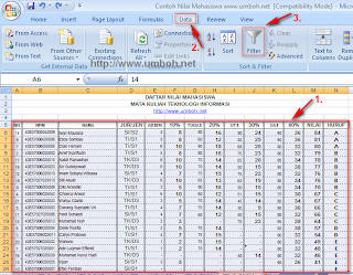 langkah-langkah melakukan filter database excel