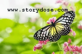 Inspirational Story - A Butterfly Lesson