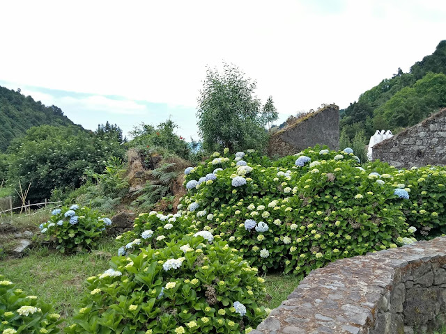 Part of the abandoned village Sanguinho, Faial Da Terra, Azores.