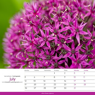 new year july 2010 calendar card