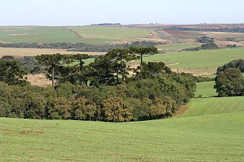 Código Florestal