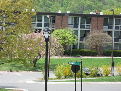 The Culinary Institute of America  -  Hyde Park, NY