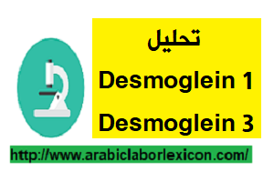 تحليل Desmoglein 1 و Desmoglein 3